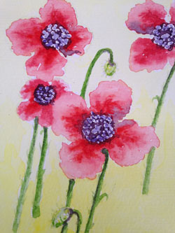 Poppies, watercolour